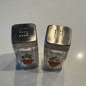 Glass Salt & Pepper Shakers with Potted Plant hand painted vintage